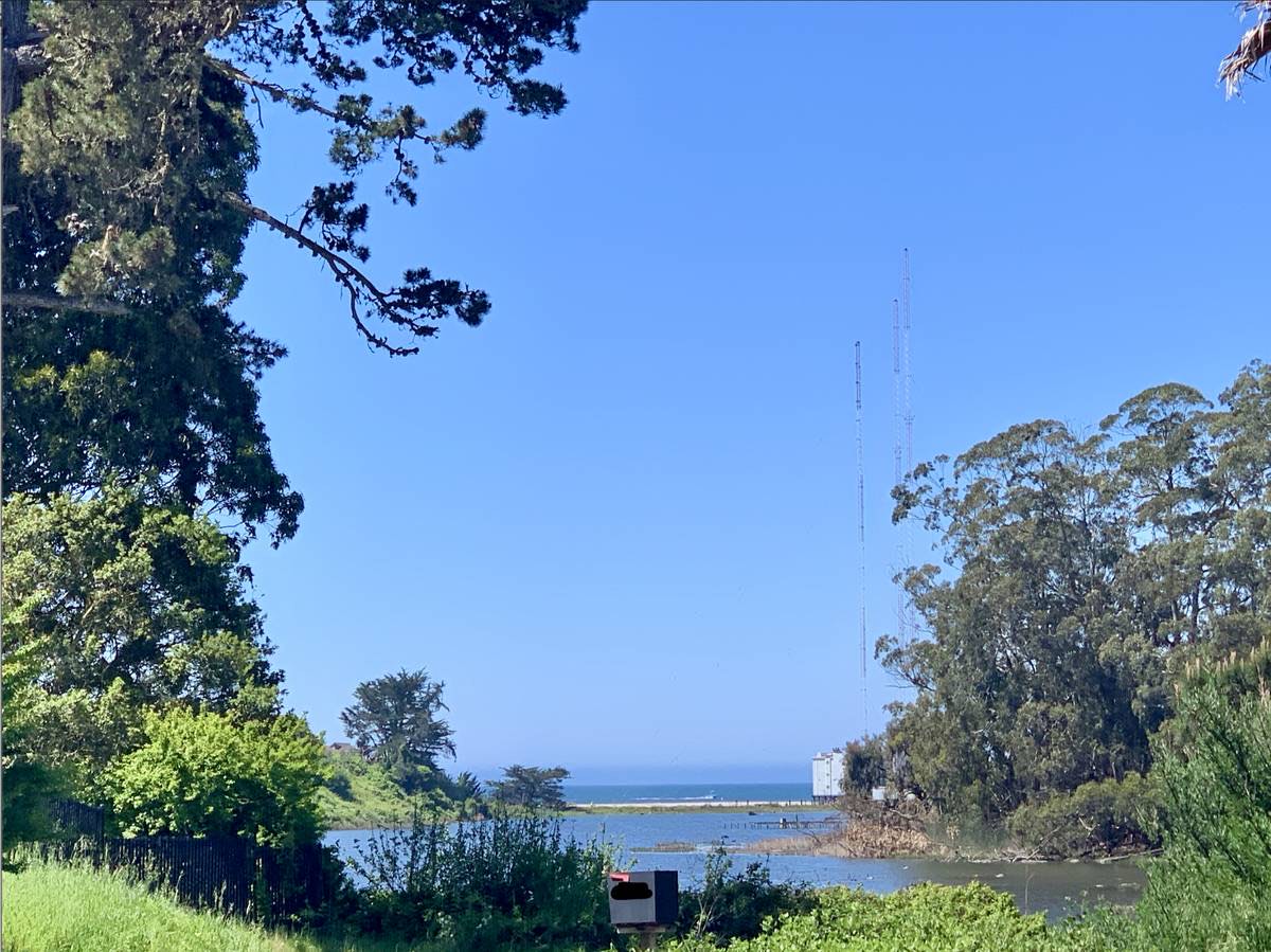 View across Corcoran Lagoon to the ocean from the owner's spot, framed by trees